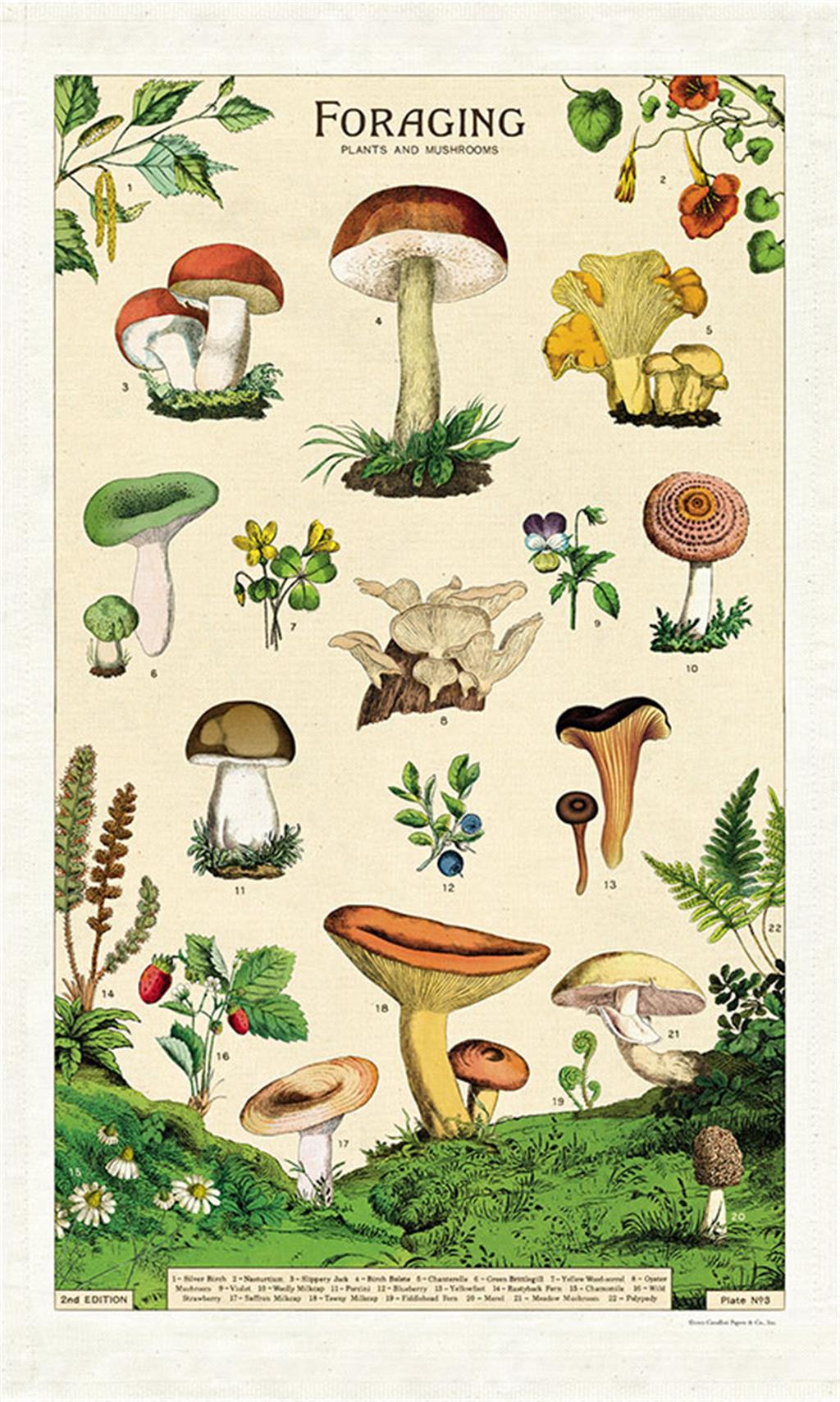 Geschirrtuch Pilze