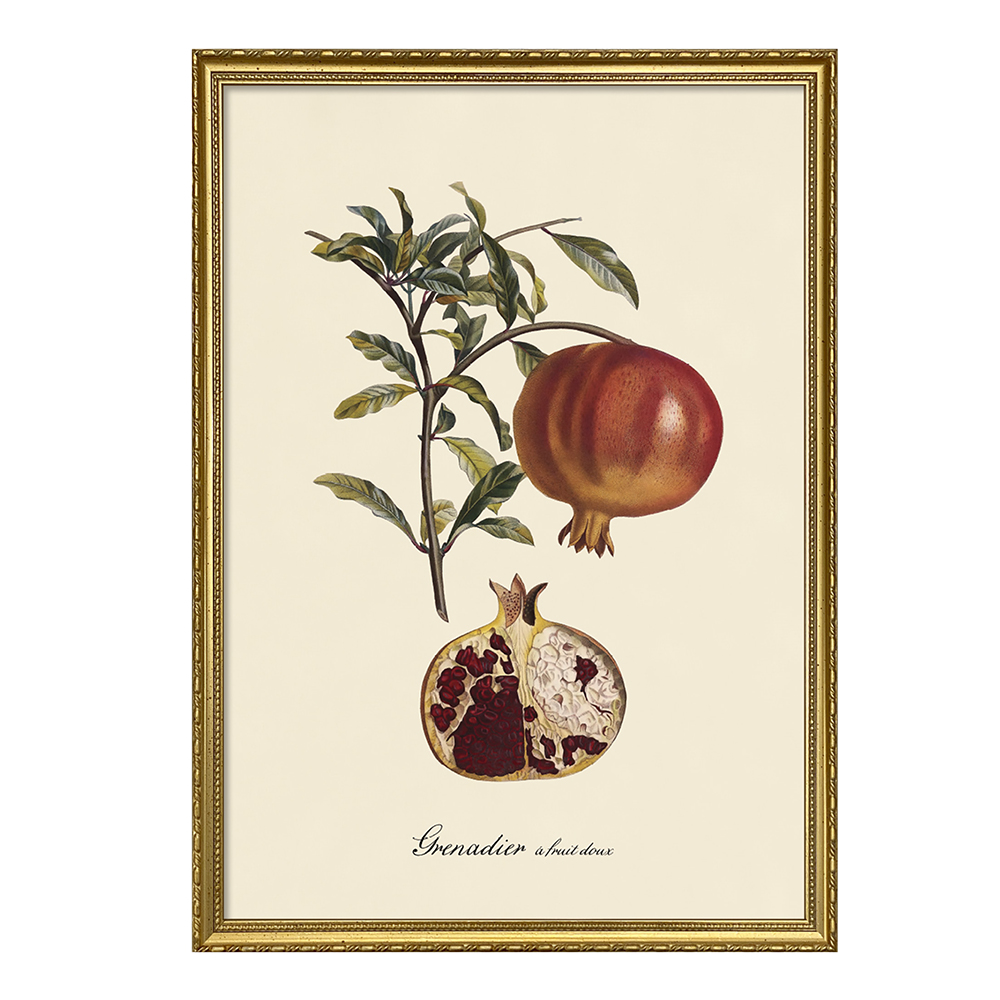 Poster Granatapfel