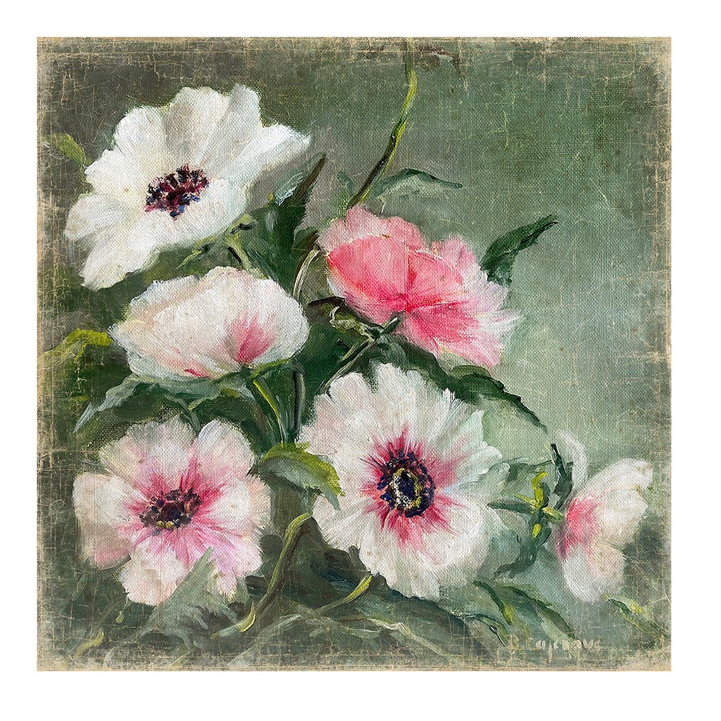 Wanddeko WHITE ANEMONES