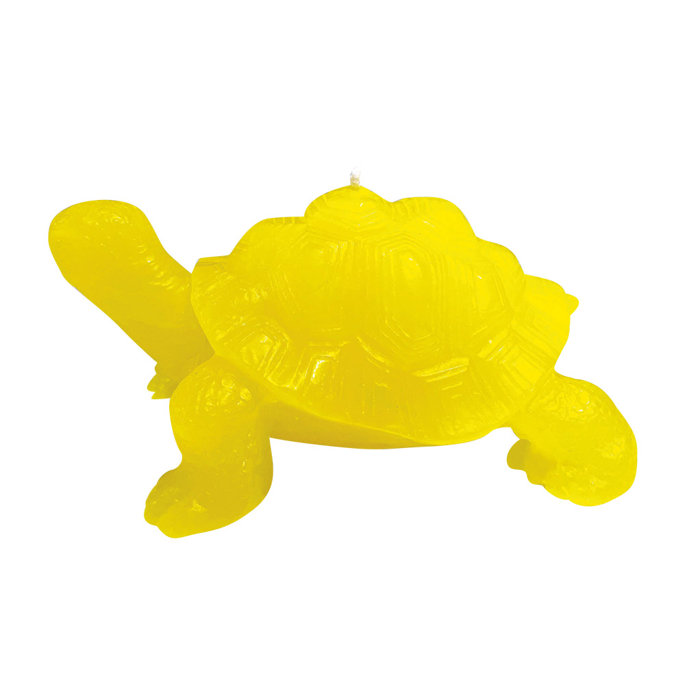 Wachsfigur Schildkröte gelb